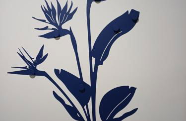 Casa Esterlita - Photo 5