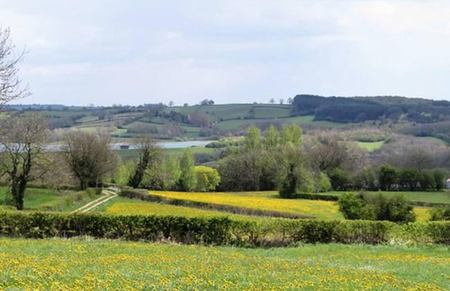 Cosy & Spacious Cottage in Scenic Village With Pub - Foto 24