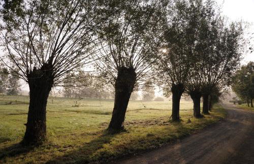 KASTANIENHOF - Foto 9