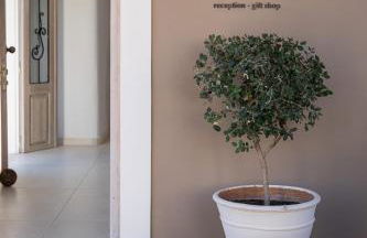 The Mini Beach Hotel - Foto 19