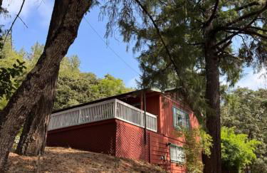 Avenue of the Giants Caraway Cottage (#3) - Foto 35