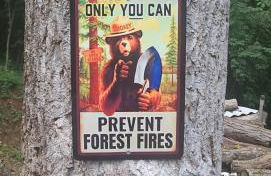 Hillside Retreat - Foto 20