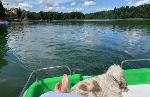 Willa Poziomka, Mielno, Grunwald - Foto 38