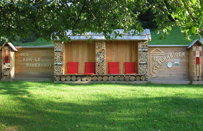 Bio Bauernhof Hotel Matlschweiger - Foto 48