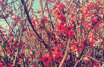 Serendipity - Foto 26