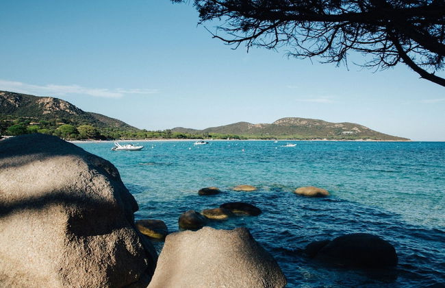 Residence Les Terrasses D'arsella, Porto-vecchio - Foto 18