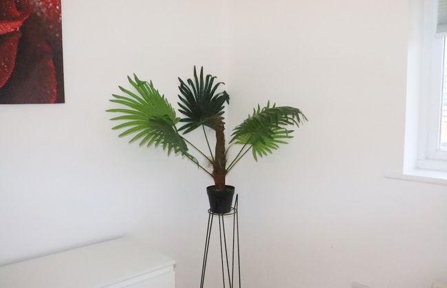 Skyline Haven Modern 2BR w/ Free Parking & 4kTV - Photo 4