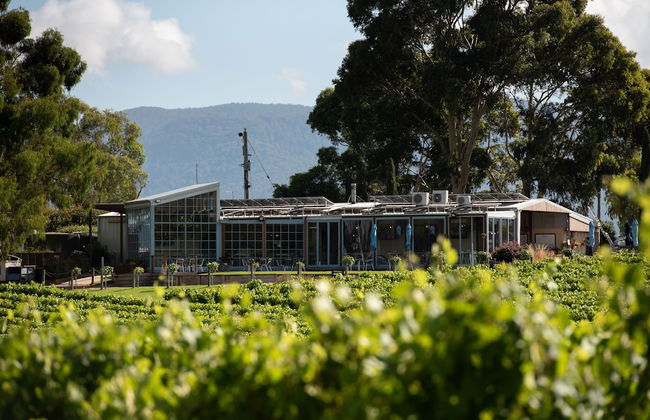 SOUMAH Wines - Photo 30