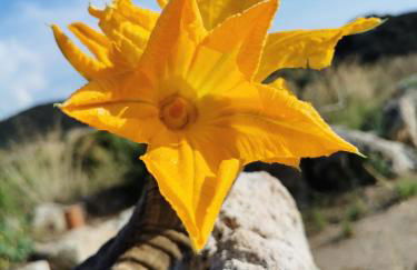 Résidence Lésia - Foto 79