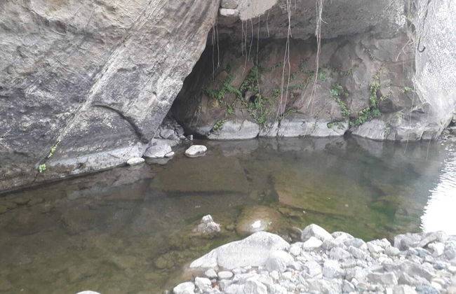 San Procopio - Foto 23