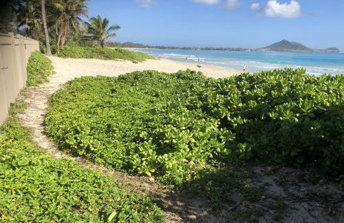 Gorgeous Renovated 1937 Plantation Style Beach House 50 Steps To The Center Of The Beach 5 Bedroom Home by RedAwning - Foto 82