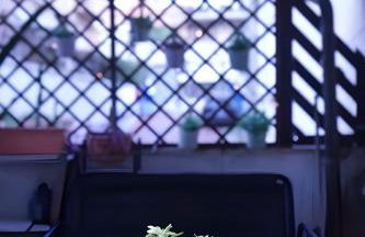 Casa verde di Mia - Foto 6