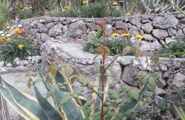 Anna's country villa - Foto 64