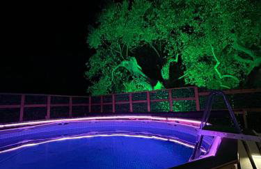 Κτημα Εριφυλλη - Foto 36