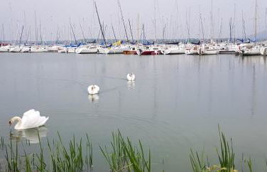 Gîte du Toilier - Foto 28