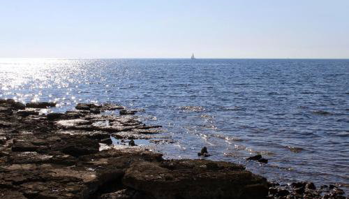 Apartments by the sea Sveti Ivan, Umag - 9692 - Photo 4