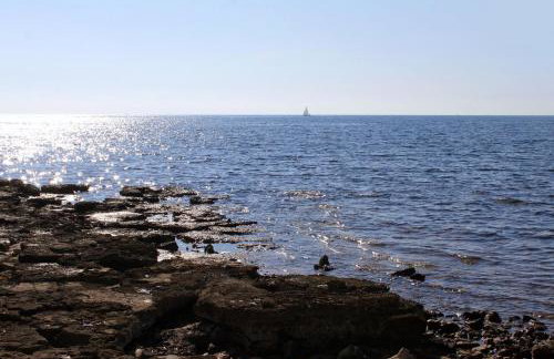 Apartments by the sea Sveti Ivan, Umag - 9692 - Foto 4