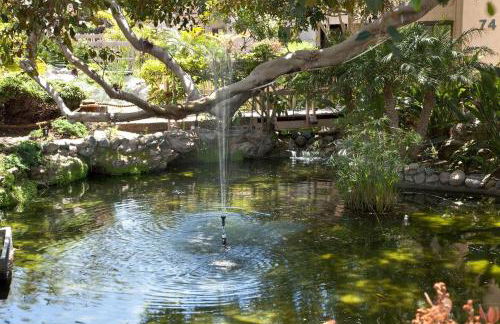 Above the Waves - SUR116 - Foto 40