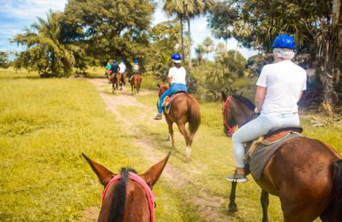Pousada São João - Estrada Parque Pantanal - Photo 21