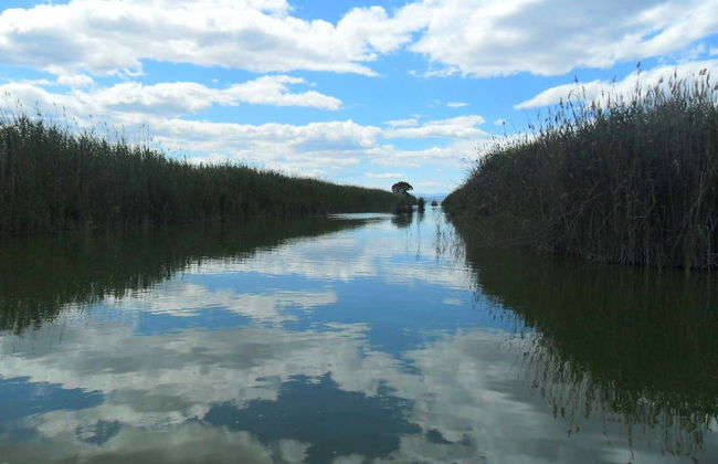 Passeio de barco pela Albufera - Foto 5