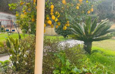Villa Esteves avec piscine proche Braga Parking-terrasse & calme - Foto 73