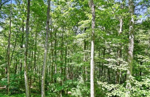 Open Studio Lodge at Little Rock Creek - Foto 12