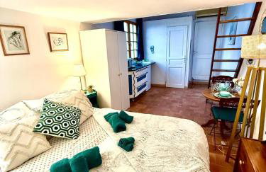 Small Provencal Castle with Swimming Pool, Tennis, Gym & Calm - Foto 80