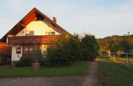 Gästehaus Haßler - Foto 28