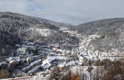 Triberg Blick - Foto 3