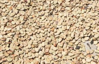 Residence Le Vigne - Foto 43