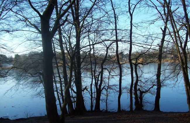 Holiday Apartment Kirchhoff - Foto 7