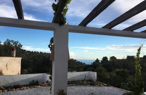 Algarrobo Azul - Photo 40