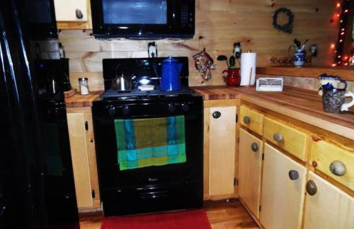 Rustic Woodland Cabin Rental near Oneida Lake, New York - Foto 32