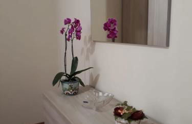 La casa di Giò - Photo 6