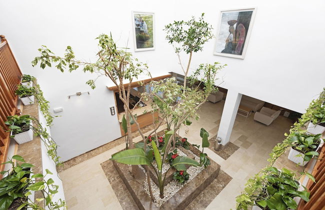 Aparthotel THB Guya Playa - Photo 44