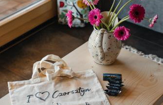 Czorsztyn View Chalets - Photo 24