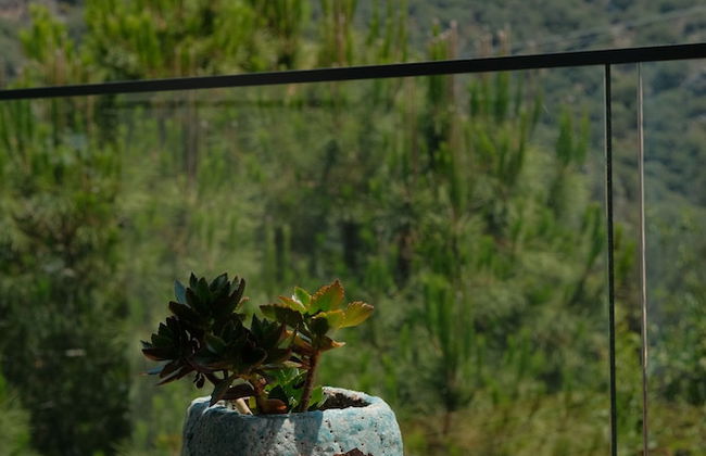 Kaktus Suites Hotel - Foto 28