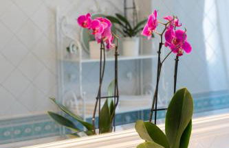 Attico Centralissimo Vista Mare - Foto 36