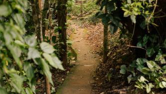 Chalés do Beto em Macacos - Foto 4, Garden