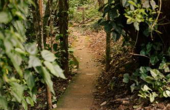 Chalés do Beto em Macacos - Foto 4
