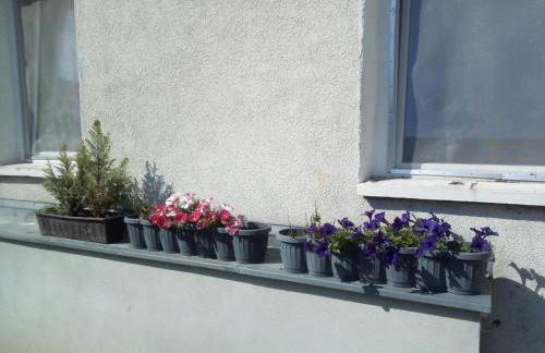 Ferienwohnung Monteurzimmer Bretnig WiFi Waschmaschine Parklpatz kostenlos - Foto 6