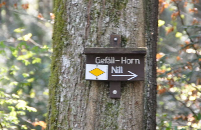 Pleasant Apartment in Zell am Harmersbach - Foto 19