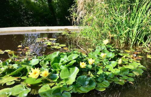 L'annexe du domaine de brisset - Foto 32