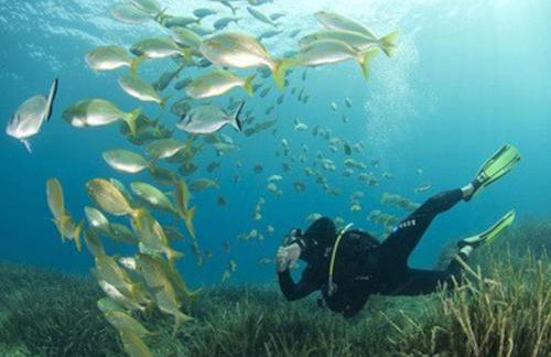 Charmant séjour au cœur des vignes de Banyuls - Foto 52