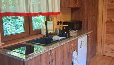 Siedlisko Sielska Dolina Nad Stawem luksusowy domek całoroczny z fińską sauną - Foto 3