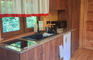 Siedlisko Sielska Dolina Nad Stawem luksusowy domek całoroczny z fińską sauną - Foto 3