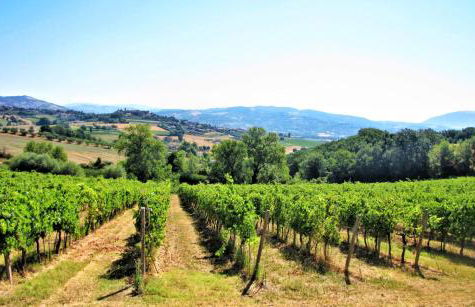 La Casa del Belvedere - Foto 35