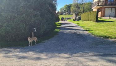 La maison d'antan - Foto 3