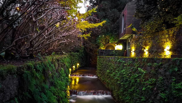 Quinta da Mó - Foto 2, Immagine principale