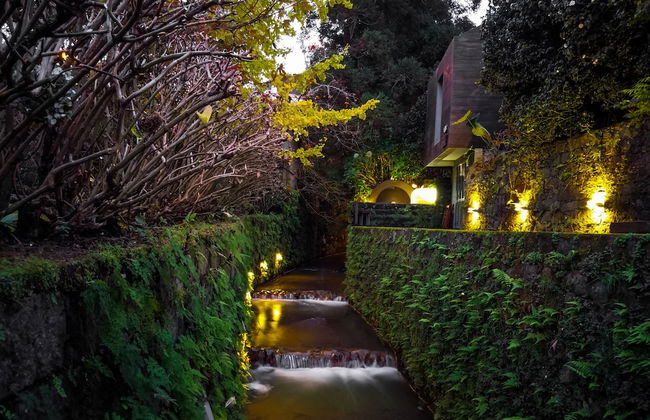 Quinta da Mó - Foto 1